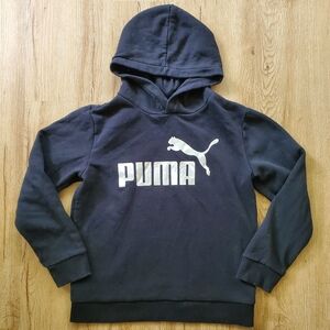 Puma hoodie SKU976